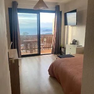 Vue Avec Piscine Milieu Appartement